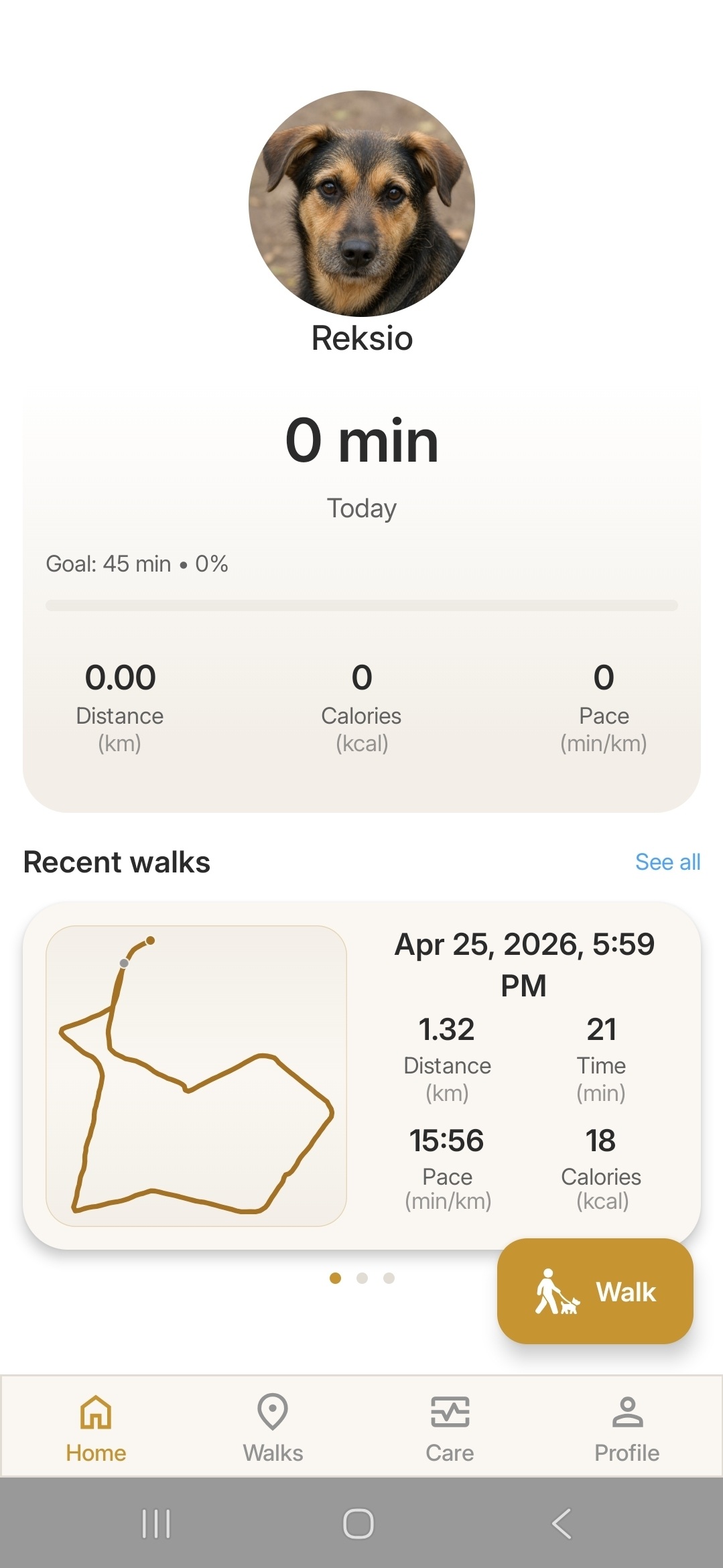 Home - Daily goals & recent walks