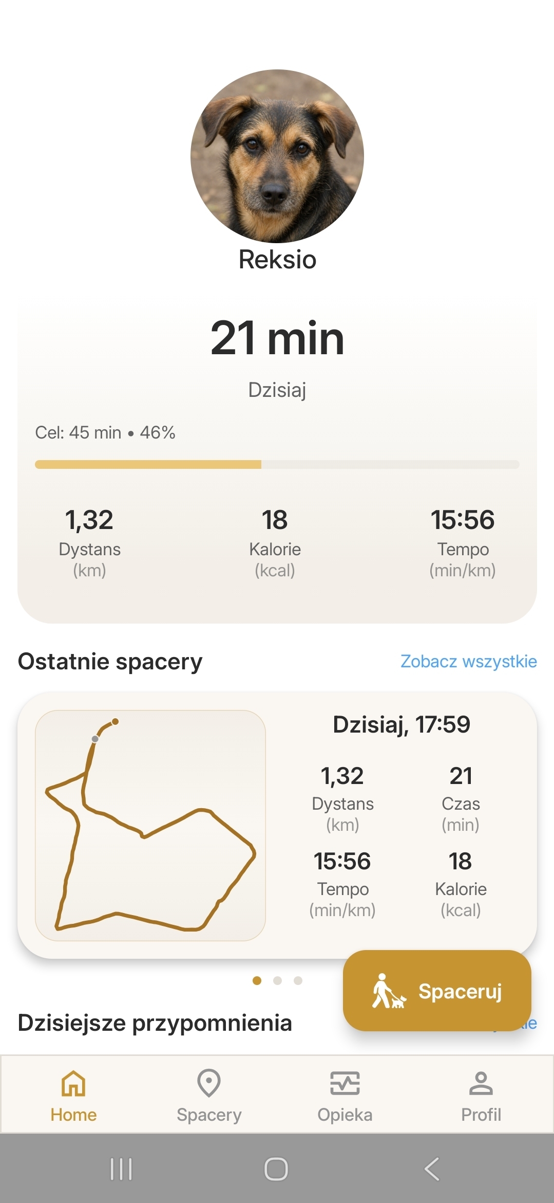 Strona główna - Dzienne cele i ostatnie spacery